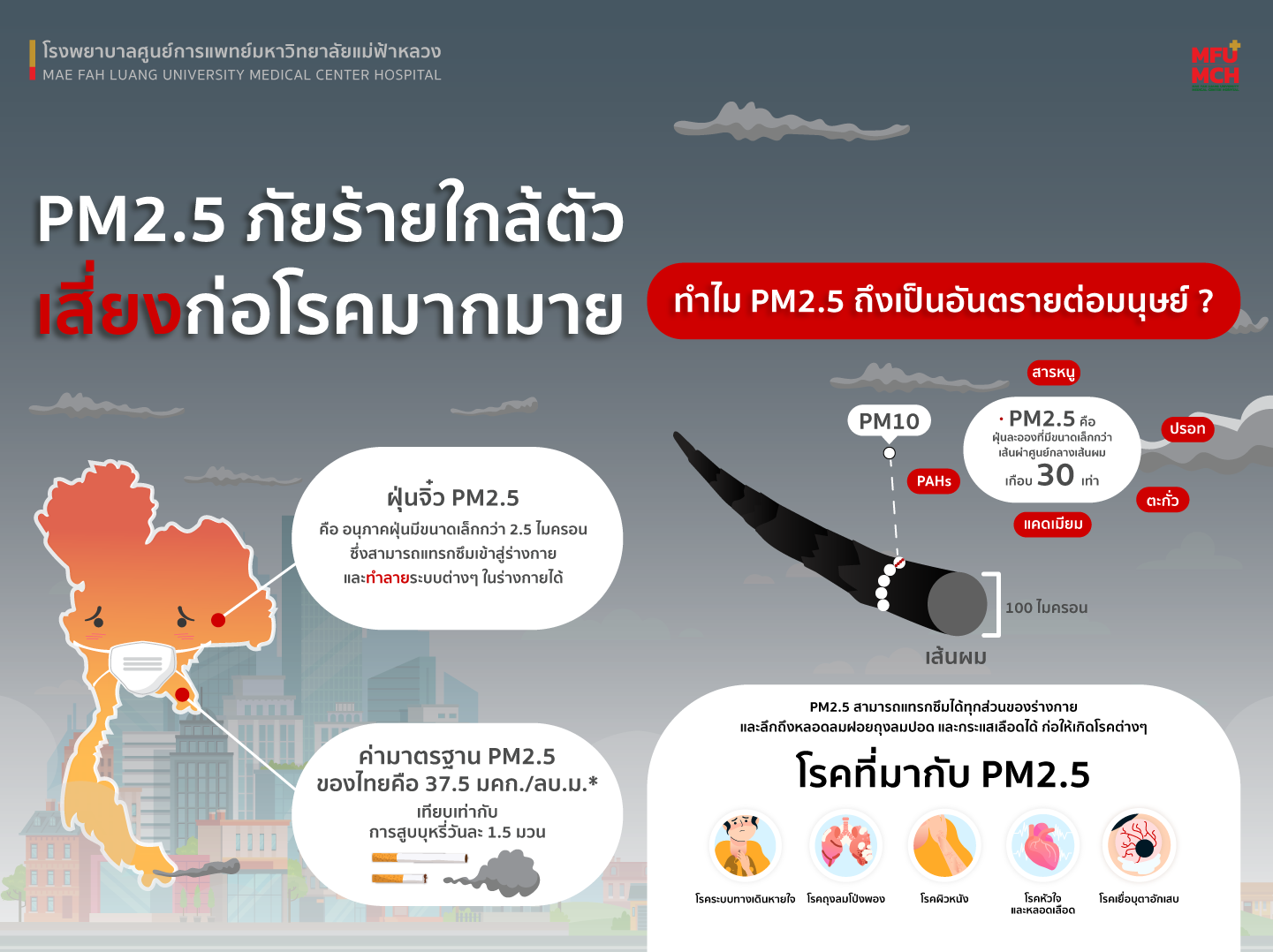 media-item1