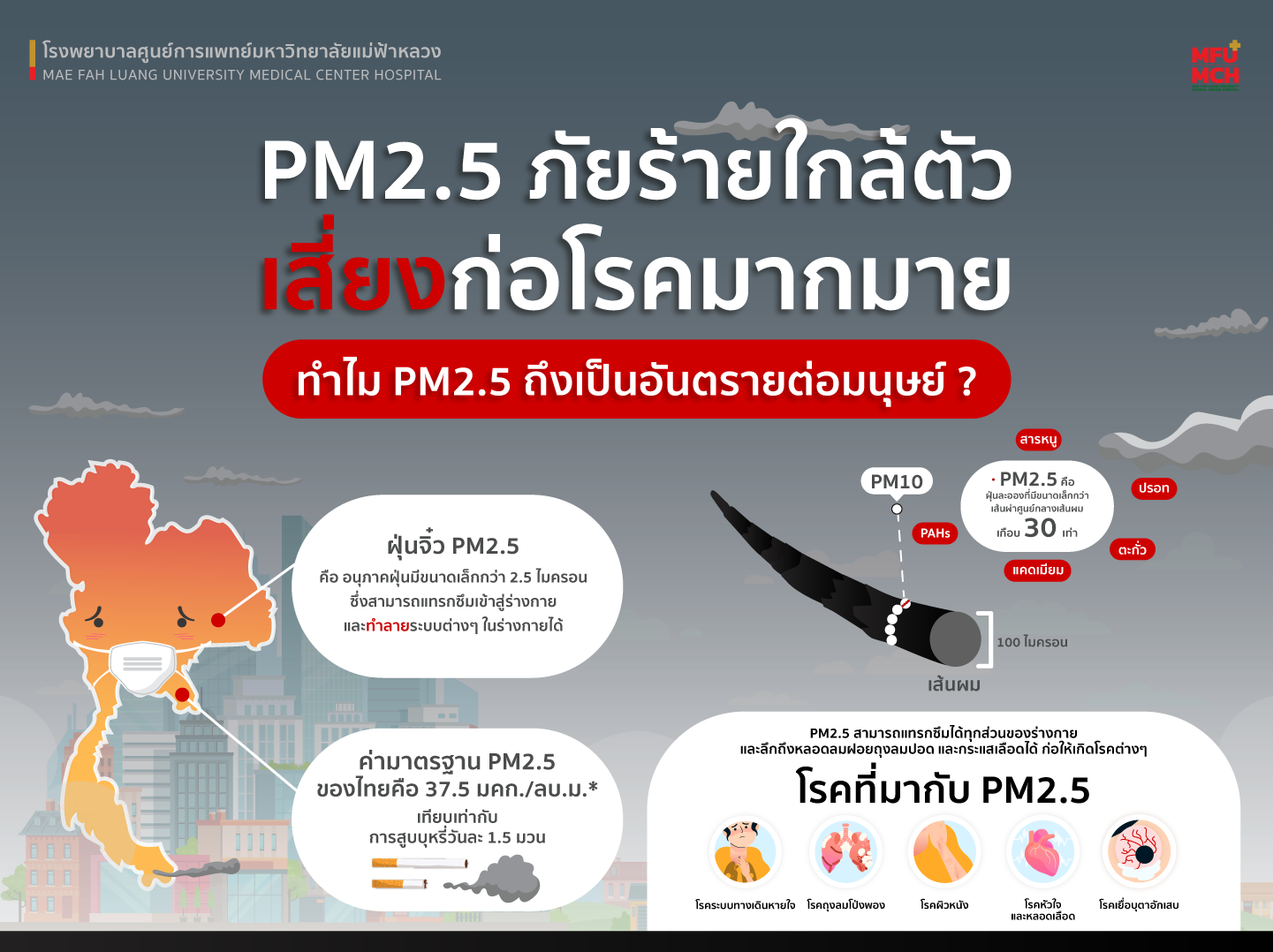 PM 2.5 ภัยร้ายใกล้ตัว เสี่ยงก่อโรคมากมาย