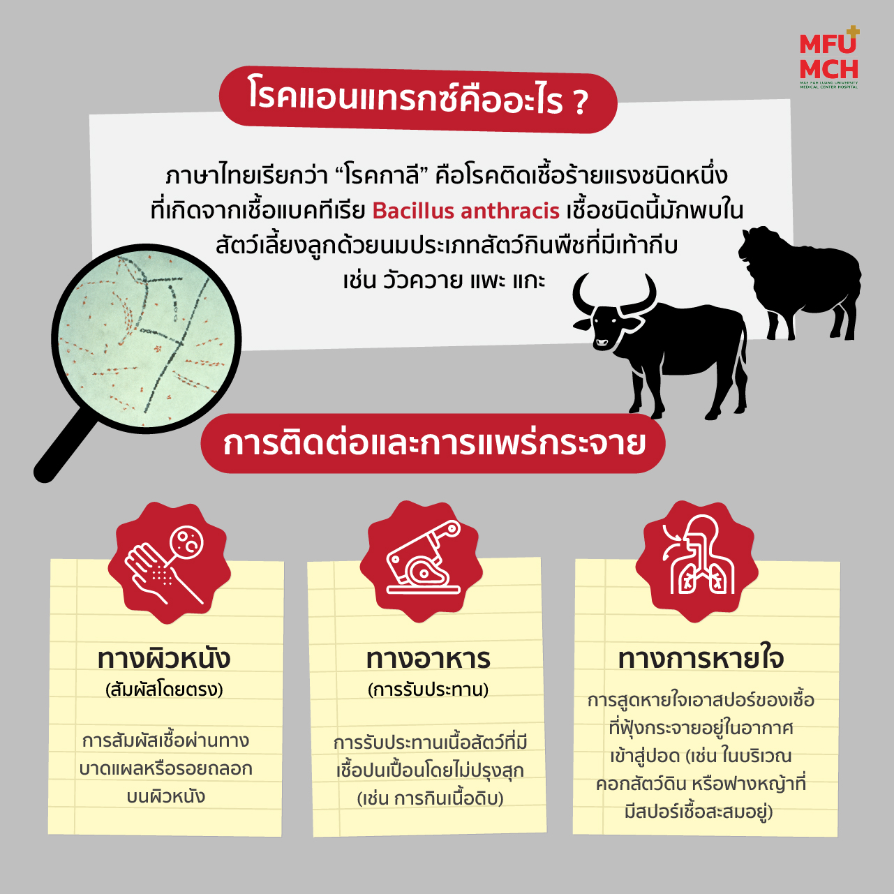 media-item1