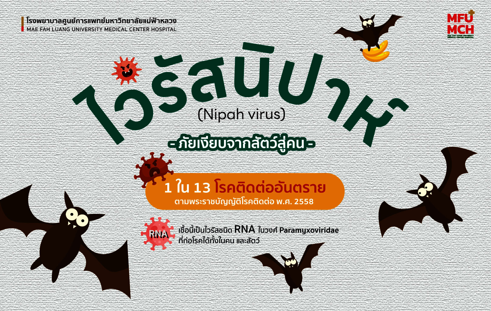 ทำความรู้จัก 