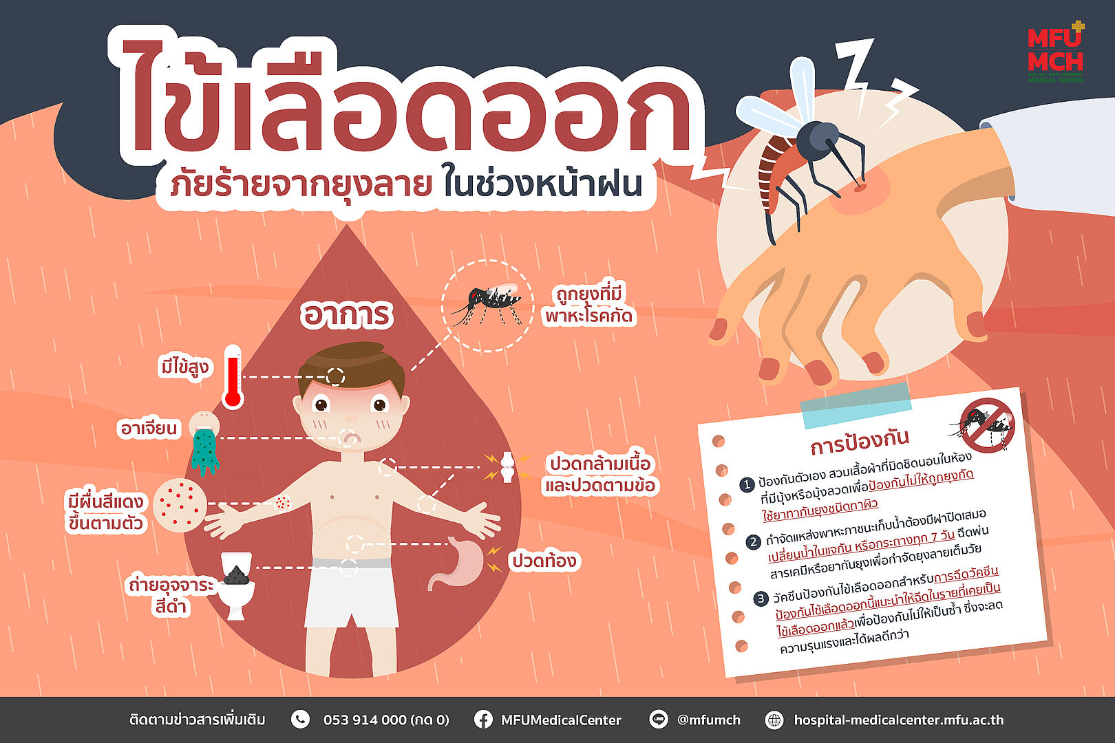 ไข้เลือดออก ภัยร้ายจากยุงลายในช่วงหน้าฝน